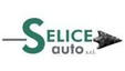 Selice Auto Srl